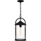 Quoizel Reece Outdoor Hanging 1 Light Earth Black RCE1909EK - alternate 3